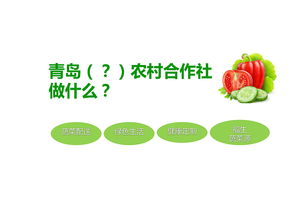 芙欣農(nóng)場(chǎng)品牌形象設(shè)計(jì)