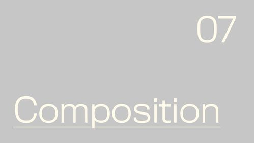 平面設(shè)計(jì) nossa coxinha 巴西休閑零食品牌形象設(shè)計(jì)