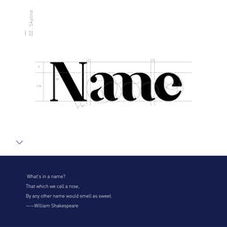 name原創(chuàng)品牌視覺(jué)形象設(shè)計(jì) 一