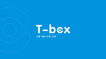 t box產(chǎn)品 品牌形象插畫(huà) vi設(shè)計(jì) 包裝 平面 品牌 mr斑馬 zcool