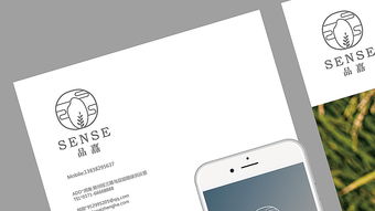 高端大米品牌形象設計 食品公司vi設計 平面 品牌 川石滴水 zcool