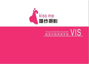 公司求一份品牌形象vi設計,急