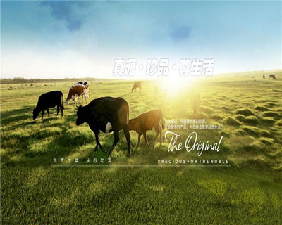 奶牛夢工場加盟有什么優(yōu)勢?優(yōu)勢全,營銷策劃 讓您火爆經(jīng)營