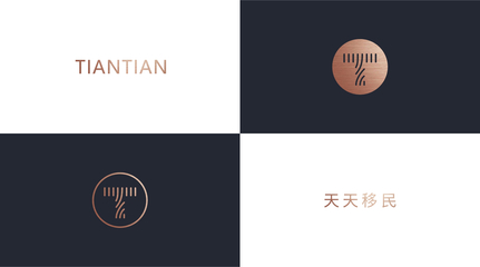 天天移民企業品牌形象LOGO全案策劃設計